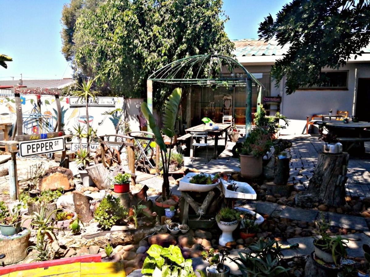 Suzie'S Coffee Shop Accommodation Bellville Dış mekan fotoğraf
